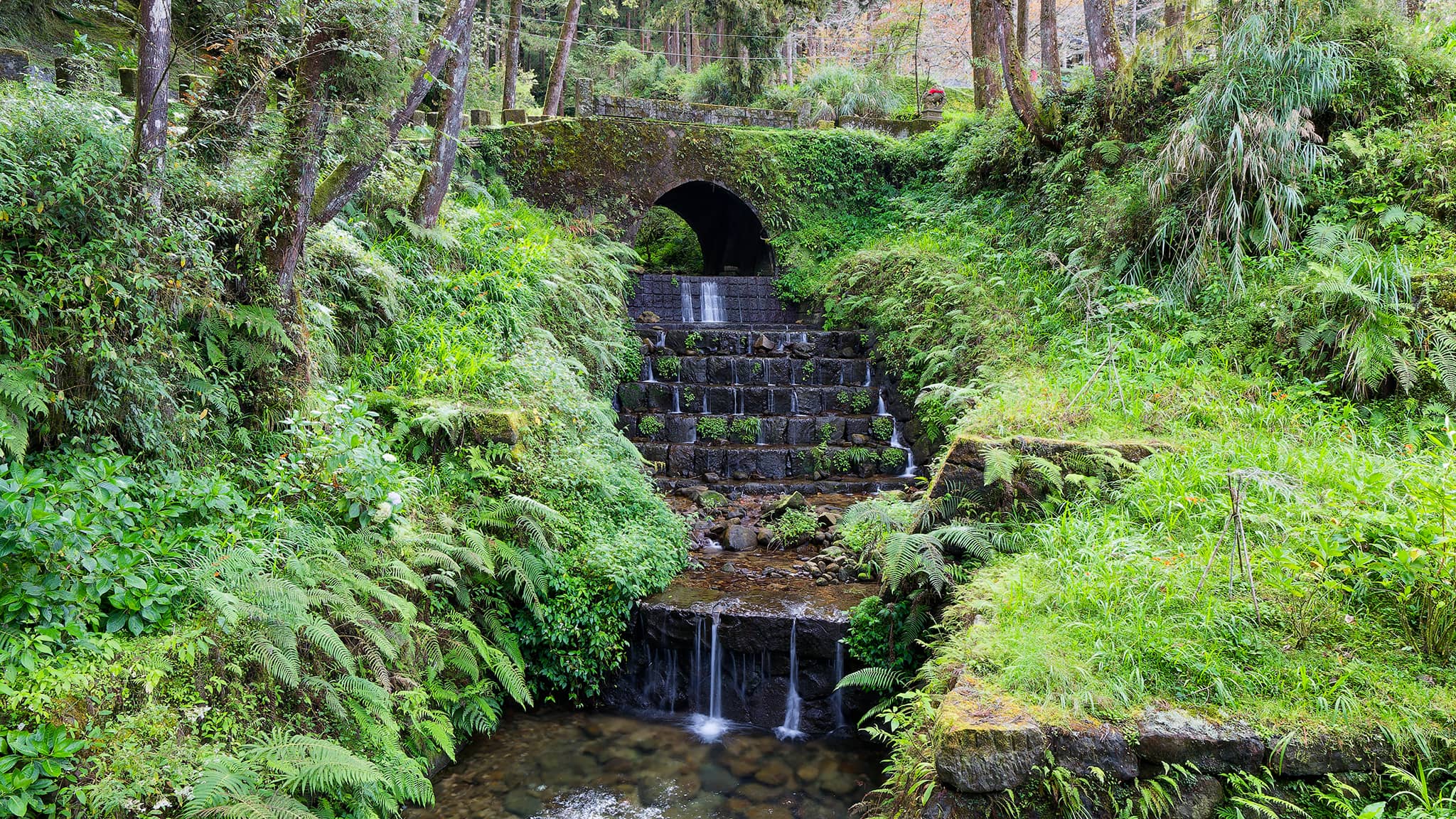 05 - Alishan (59).jpg